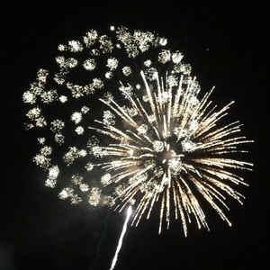 Meet your Posher, Linlee